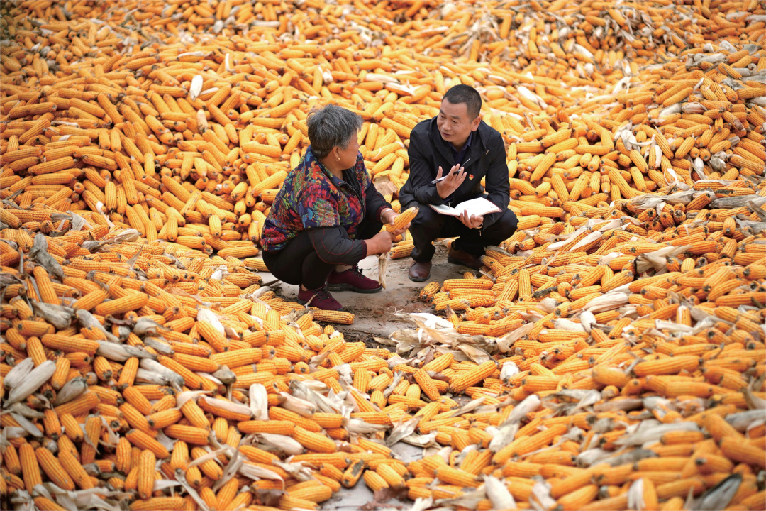 231663926194832172.png 640 (2).png